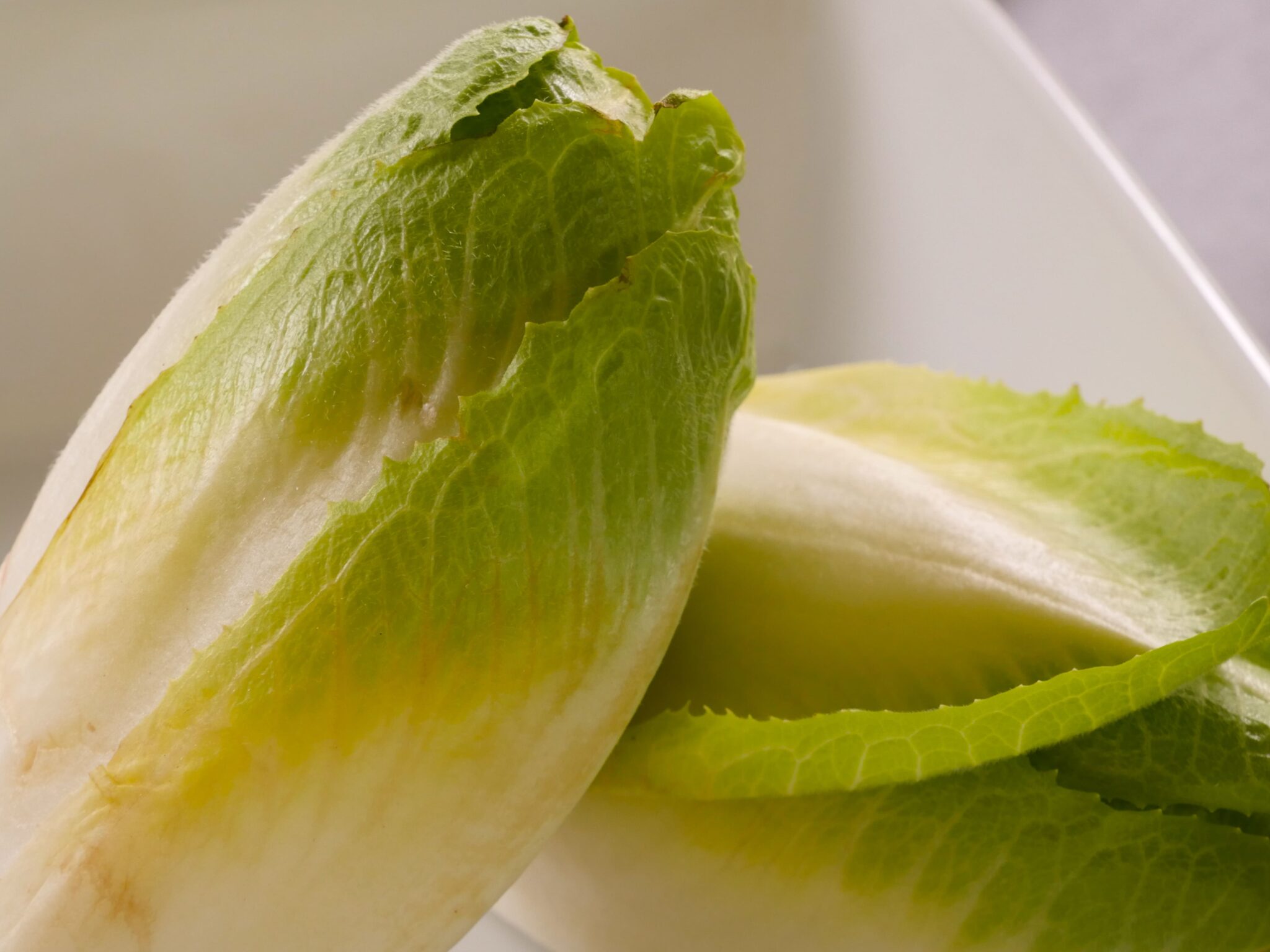 Chicorée zubereiten - Knusprig und würzig überbacken - Mehr Genuss