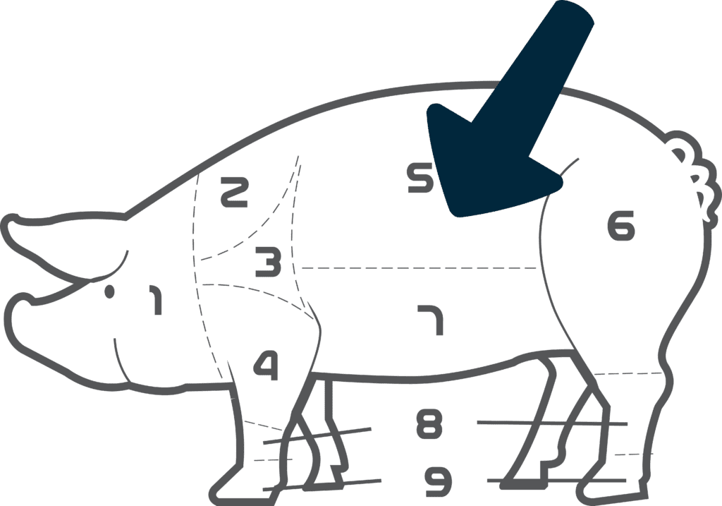 Die schematische Darstellung vom Schweinefilet in einem Schwein-min