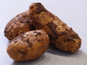 Kartoffeln für Pellkartoffeln