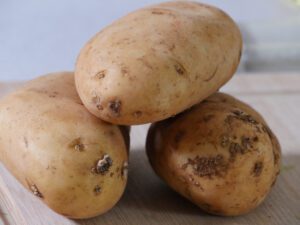 Rohe Kartoffeln für Kartoffelpüree Rezept