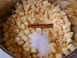 Zimt Zucker und Apfelsaft zum Apfelkompott geben